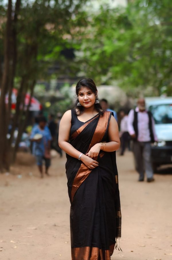 A reasonable first handloom saree