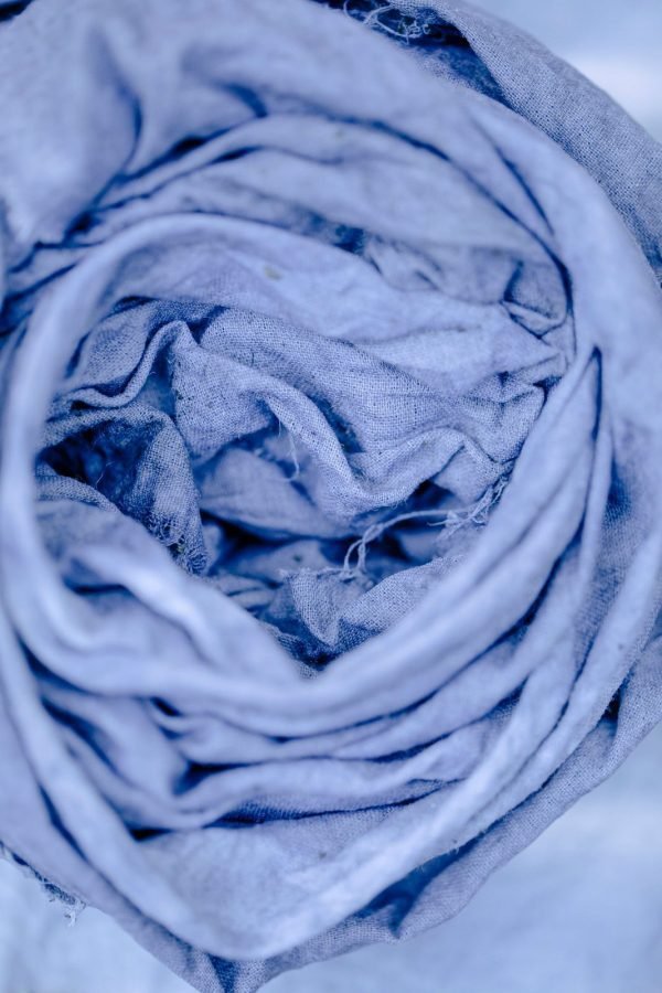 Rolled indigo cloth from the dye vat
